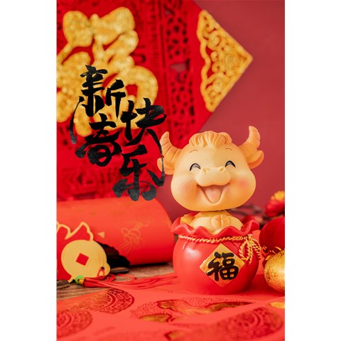 山东宸禄祝客户朋友新春快乐、阖家幸福
